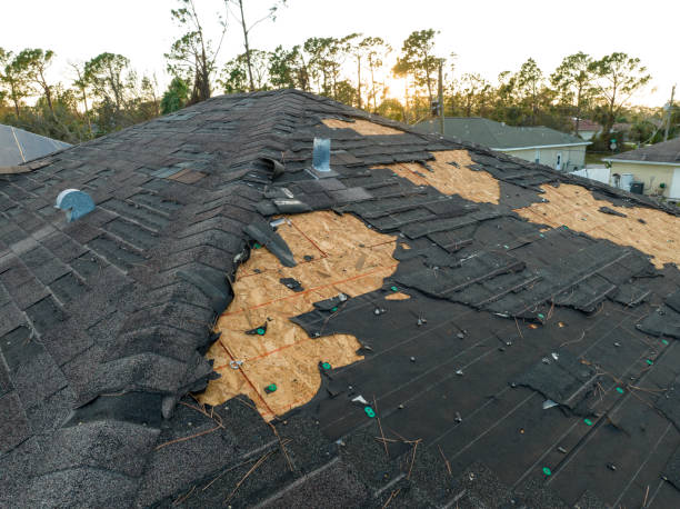 Best Metal Roofing Installation  in Oxford, MS